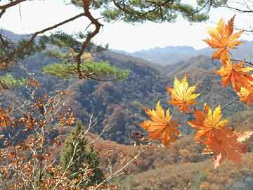 调节心肺经络好处-调理心肺的穴位